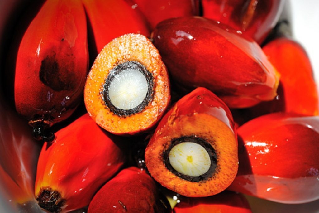 Palm Oil Vs Palm Kernel Oil: Know The Difference