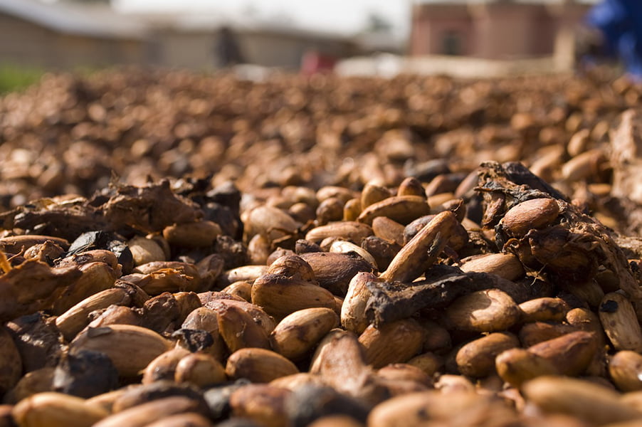 How is Chocolate Made?
