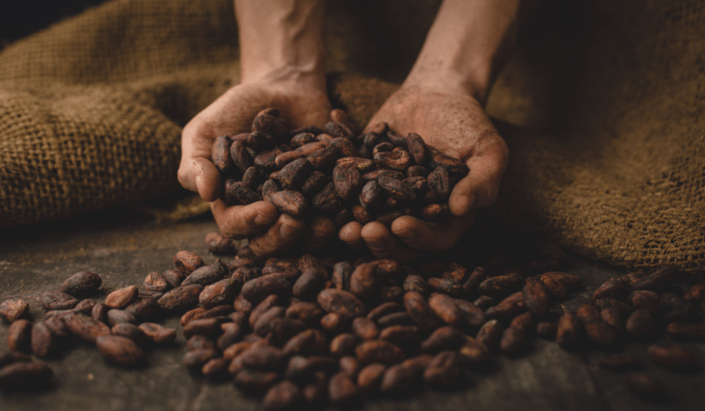 A man holding cocoa beans