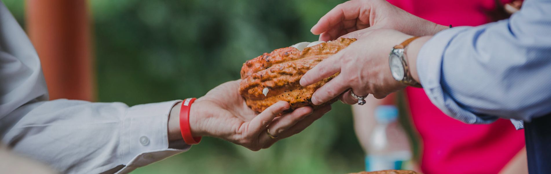 Creating opportunities in our communities